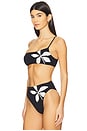 view 2 of 4 Susan Ana Bikini Top in Multi