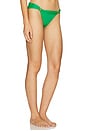 view 2 of 4 Bia Tube Bottom Brazilian in Meadow