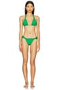 view 4 of 4 Bia Tube Bottom Brazilian in Meadow