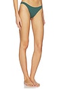 view 2 of 4 비키니 하의 in Green