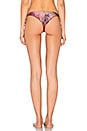 view 3 of 4 BRAGUITA BIKINI ANUDADA BIRDS RIPPLE in Multi