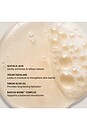 view 3 of 8 GEL DE BAÑO TRAVEL GLYCOLIC BODY WASH in Fig & Amber