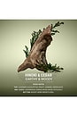 view 4 of 8 Travel Glycolic Body Wash in Hinoki & Cedar