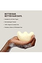 view 6 of 6 Gua Sha Shampoo Bar in 