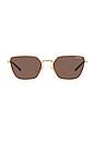 view 1 of 3 x Hailey Bieber 0VO4245S in Rose Gold & Dark Brown