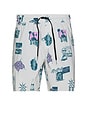 view 1 of 7 Psyche Swim Trunks in Stone