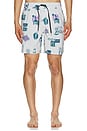 view 6 of 7 Psyche Swim Trunks in Stone