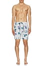 view 7 of 7 Psyche Swim Trunks in Stone