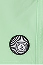 view 4 of 6 Lido Solid Swim Trunks in Jade Cream