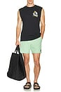 view 6 of 6 Lido Solid Swim Trunks in Jade Cream