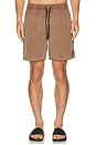view 5 of 6 Center Swim Trunks in Coconut Shell