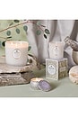 view 6 of 7 Eucalyptus & White Sage Boxed Luxe Candle in Green