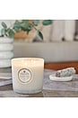view 7 of 7 Eucalyptus & White Sage Boxed Luxe Candle in Green