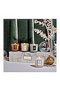 view 3 of 3 Holiday White Pedestal Gift Set in 