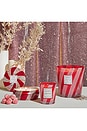 view 6 of 6 Crushed Candy Cane 3 Wick Hearth Candle in 