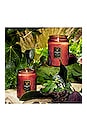 view 5 of 5 Forbidden Fig Small Jar Candle in Forbidden Fig