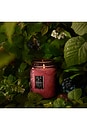 view 4 of 4 Foraged Wildberry Large Jar in Foraged Wildberry