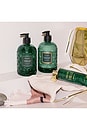view 4 of 4 Noble Fir Garland Hand Care Duo in Noble Fir