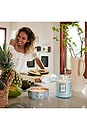view 3 of 4 California Summers Large Jar Candle in 