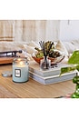 view 4 of 4 California Summers Large Jar Candle in 