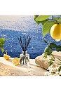 view 3 of 3 Mediterranean Lemon Reed Diffuser in 
