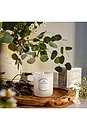 view 3 of 4 Mountain Lavender & Chamomile Classic Candle in 