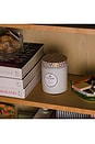 view 4 of 4 Italian Bellini Large Jar Candle in 