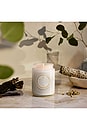 view 3 of 3 Eucalyptus & White Sage Large Jar Candle in 