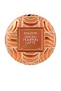 view 1 of 5 Spiced Pumpkin Latte Mini Tin Candle in 