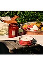 view 3 of 5 Tomato Trellis 18oz Large Jar in 