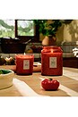 view 4 of 5 Tomato Trellis 18oz Large Jar in 