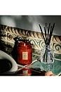 view 2 of 2 Tomato Trellis Reed Diffuser in 