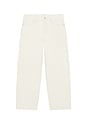 view 5 of 5 Baggy Fit Denim Pants in Ivory
