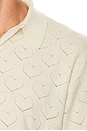 view 6 of 5 Eyelet Polo in Cream