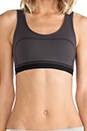view 4 of 4 Cortex Bra in Charcoal