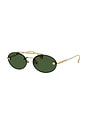 view 2 of 3 Oval Sunglasses in Gold