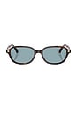 view 1 of 4 Oval Sunglasses in Brown Havana