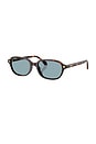view 2 of 4 Oval Sunglasses in Brown Havana