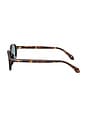 view 4 of 4 Oval Sunglasses in Brown Havana