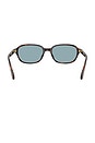 view 5 of 4 Oval Sunglasses in Brown Havana