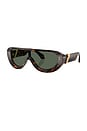 view 2 of 4 Shield Sunglasses in Dark Havana