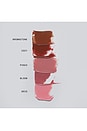 view 5 of 8 Shade Swipe Blush Stick in Pinch
