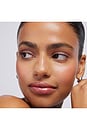view 8 of 8 Shade Swipe Blush Stick in Deco