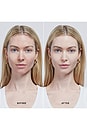 view 3 of 6 Skin Solution Multi-Serum Skin Tint SPF 40 in 2n