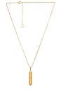 view 1 of 5 Icon Necklace in Gold Polished