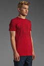 view 2 of 4 Kelp Forest Tee in Baked Apple Red