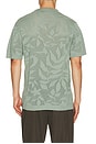 view 2 of 4 Sweater Knit Polo in Sage