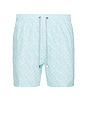 view 1 of 4 4 Way Stretch Volleys Swim Short in Mint