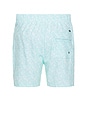 view 2 of 4 4 Way Stretch Volleys Swim Short in Mint