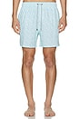 view 4 of 4 4 Way Stretch Volleys Swim Short in Mint